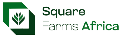Square Farms Africa Logo